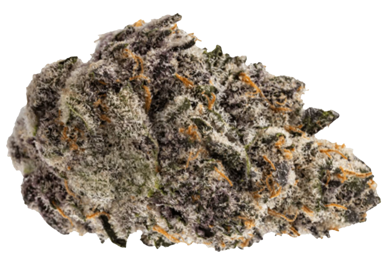 No-Drama-Llama-Strain-Cheap-THCA-Flower