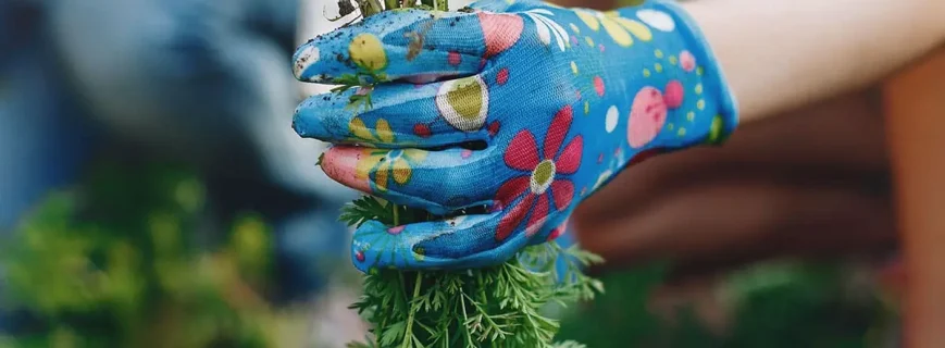 post-img-10-min post-img-10-min