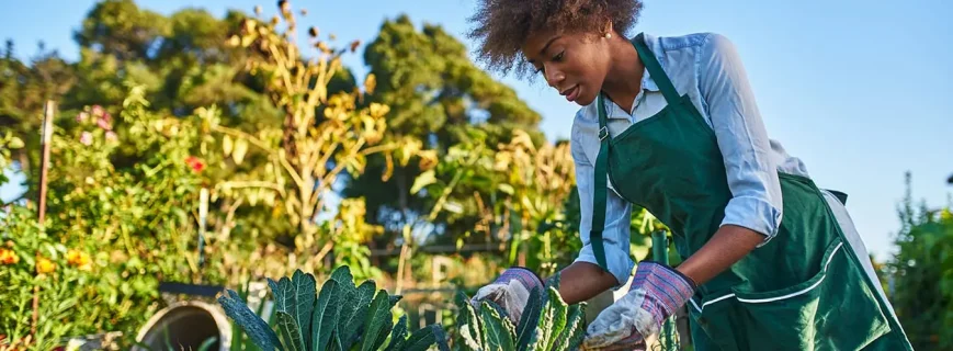 post-img-2-min post-img-2-min