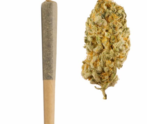 Jack Herer THCA Pre Rolls